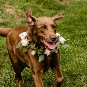 Meet your Posher, Stacy